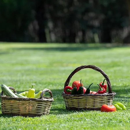 Paradise Lagoon Villa, Halkidiki Вилла Порто-Куфо